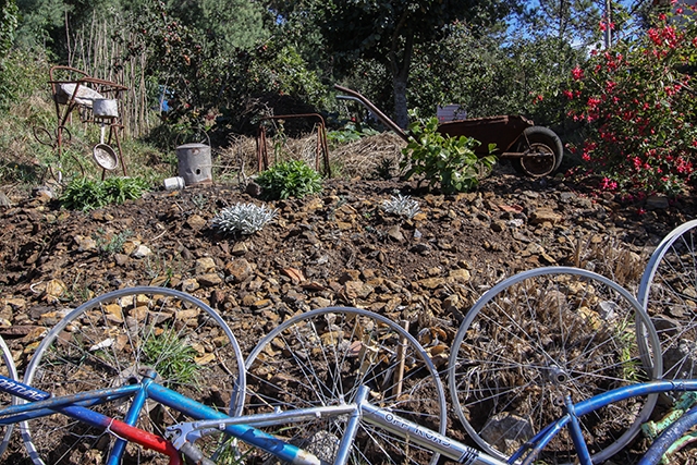 17 IMG_0329 kim site.jpg